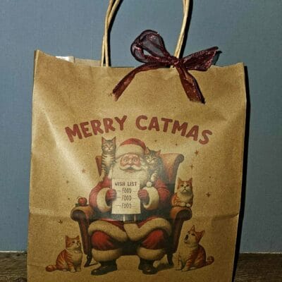 Kerst Cadeautas voor je Kat – Verrassingseditie