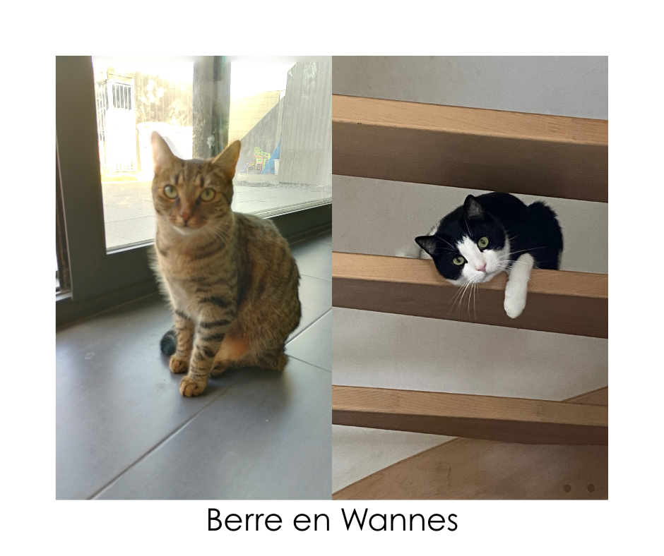 Berre
